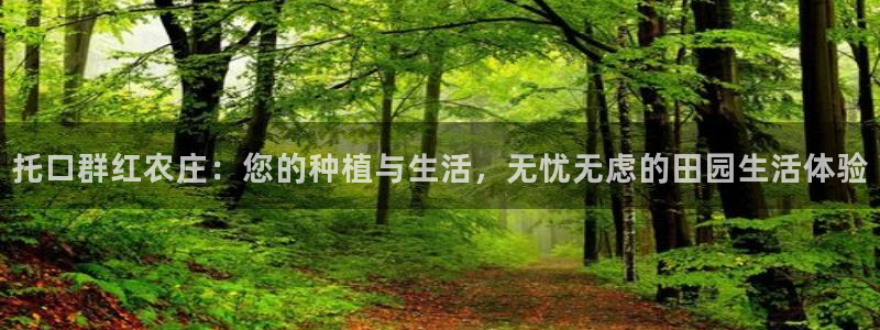 天辰娱乐 728567