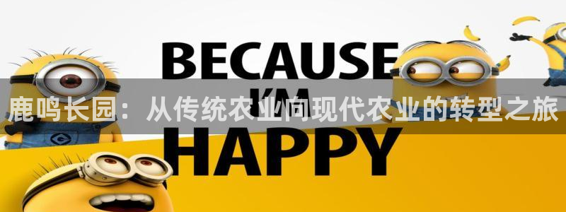 天辰娱乐欢乐