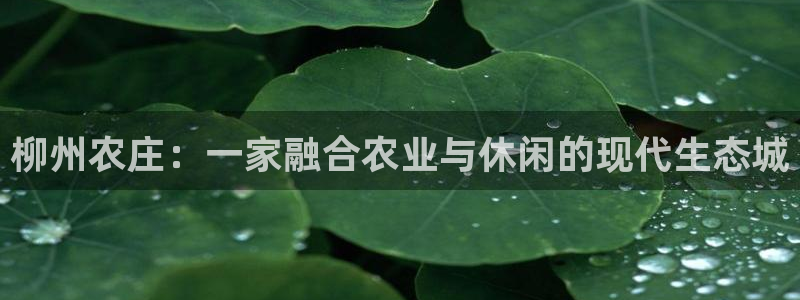 天辰娱乐44516