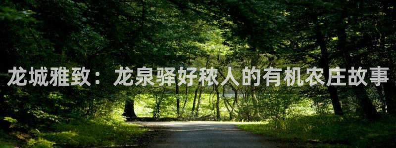 天辰娱乐论坛