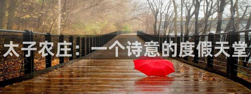 天辰娱乐39974神
