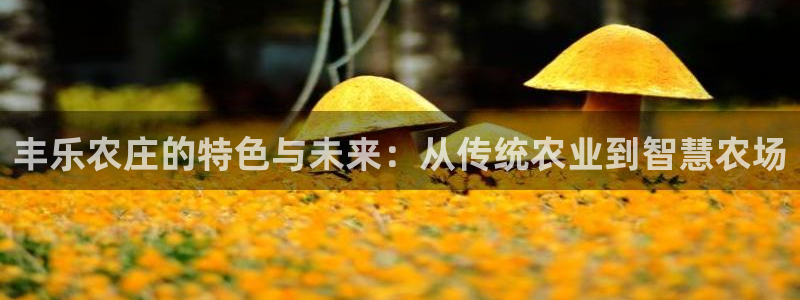 天辰娱乐 天辰平台