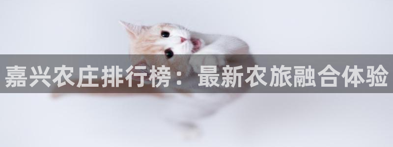 天辰娱乐登陆