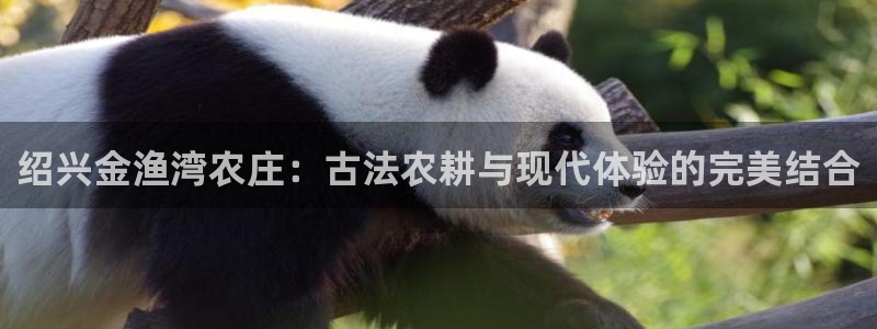 天辰娱乐线路