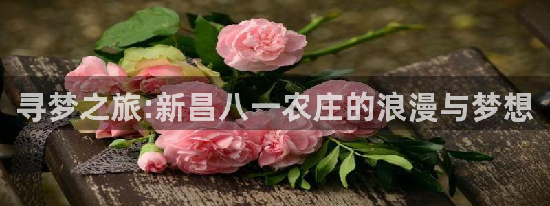 天辰娱乐平台