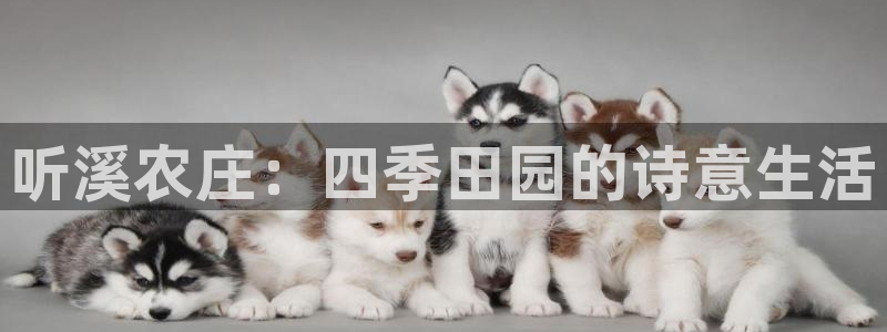 天辰国际娱乐