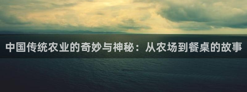 天辰娱乐总管年薪