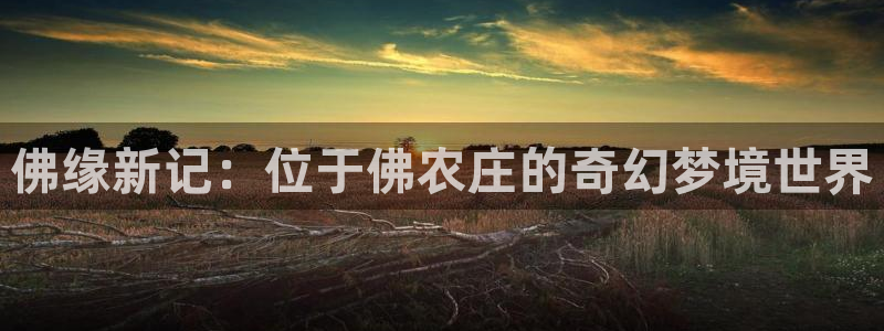 天辰线上娱乐