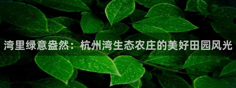 天辰娱乐天辰宝