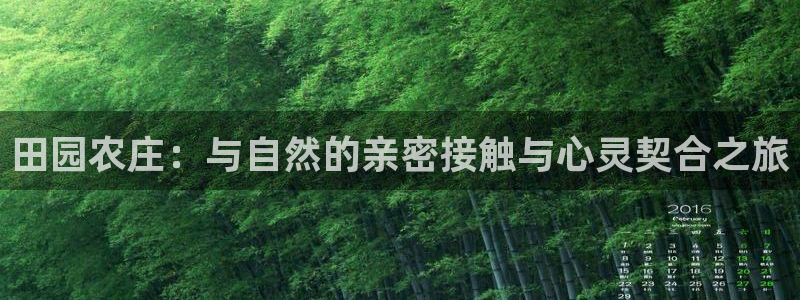 大同天辰娱乐