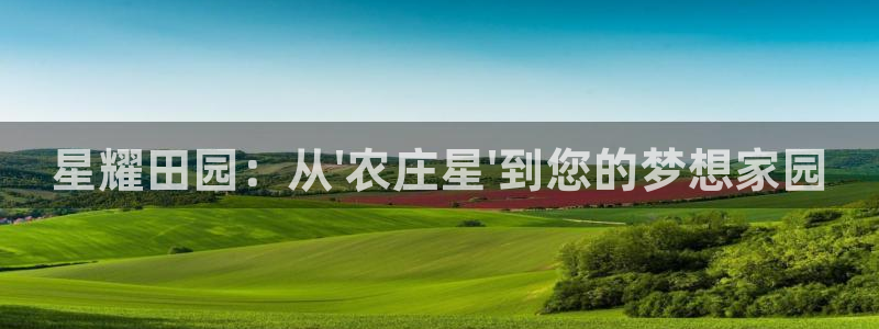 天辰娱乐黑人