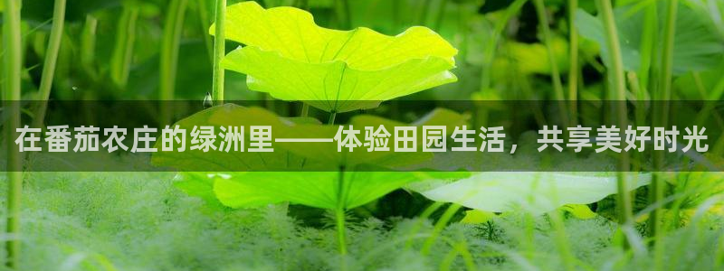 天辰娱乐下载地址