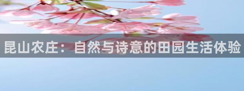 天辰娱乐