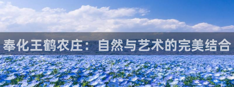 天辰娱乐测试