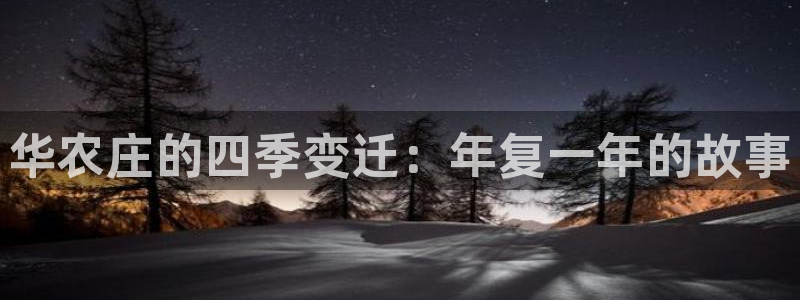 广东天辰娱乐