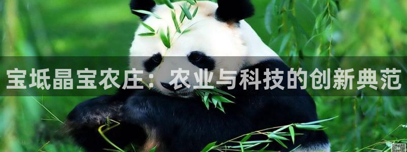 天辰娱乐会所