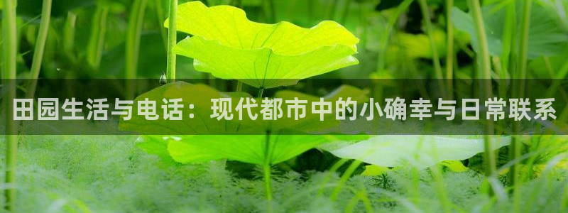 天辰娱乐待遇