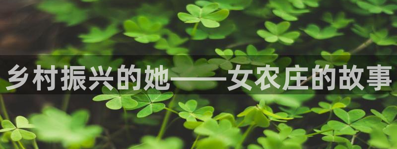 天辰娱乐登录网址