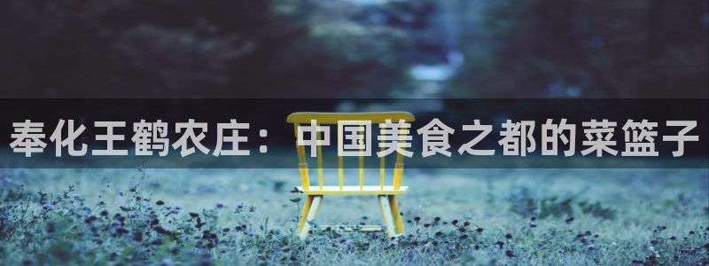天辰娱乐_675138