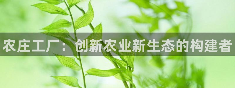 天辰娱乐官网平台入口