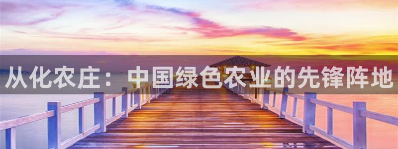 天富娱乐天辰娱乐