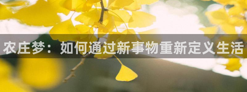 天辰娱乐跑的快