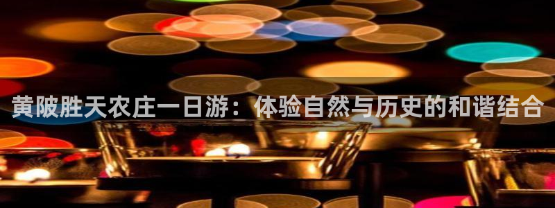 天辰娱乐会所