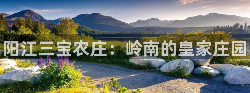 手机上怎么下载天辰娱乐