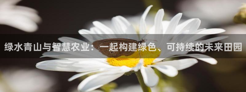 天辰娱乐网址娱乐游戏