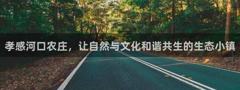 天辰娱乐44516