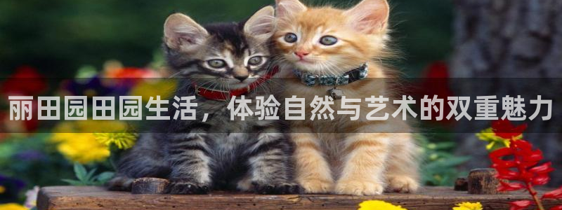 天辰娱乐元宝