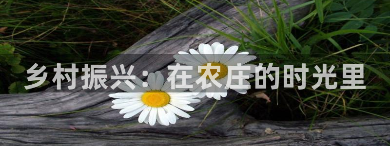 天辰娱乐解封