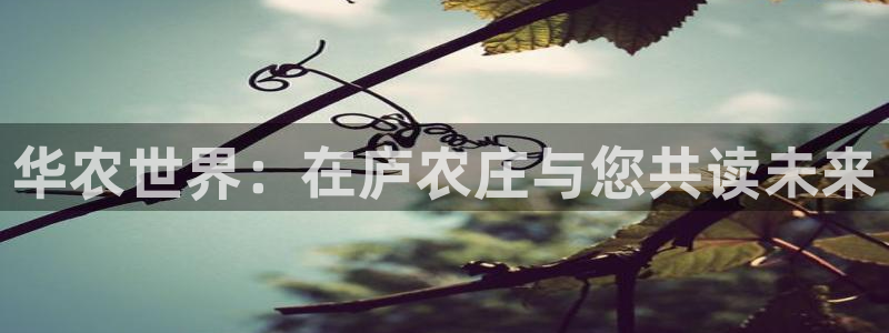 天辰娱乐娱乐平台