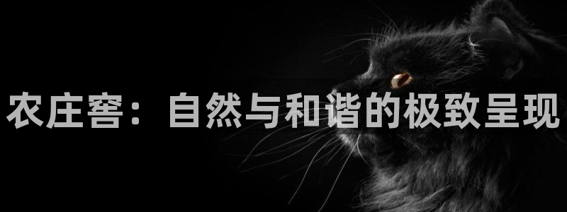 下载天辰娱乐