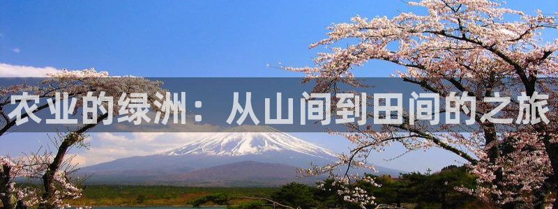 天辰娱乐台湾