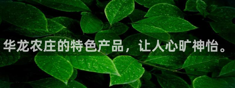 天辰娱乐链接