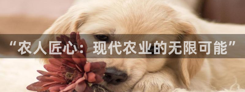 天辰娱乐线路