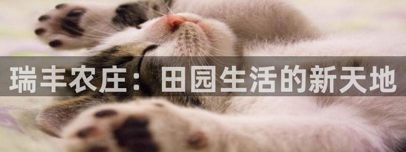 天辰娱乐61116