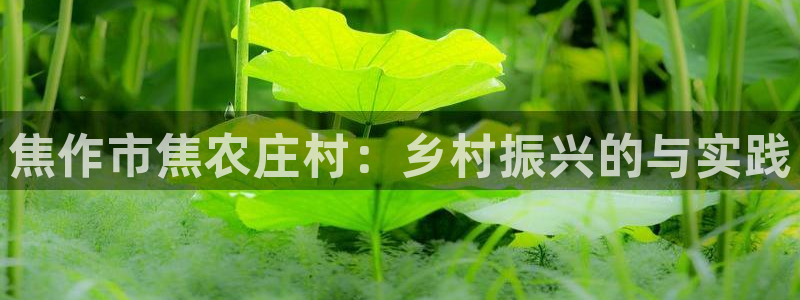 天辰娱乐内部