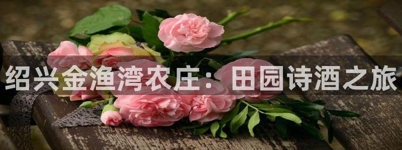 天辰娱乐待遇