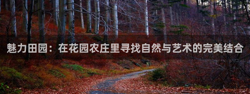 菲律宾天辰娱乐