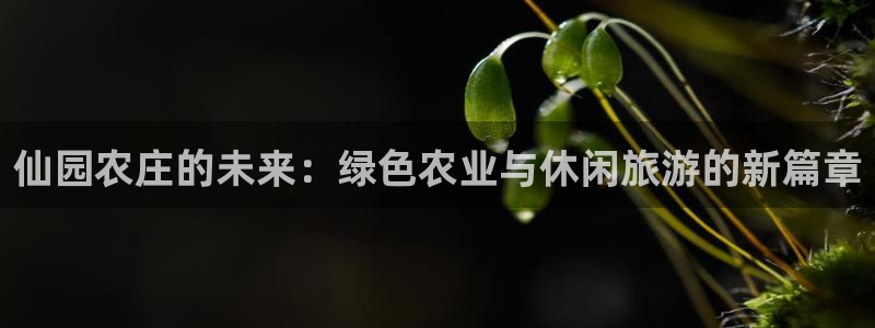 天辰娱乐股东