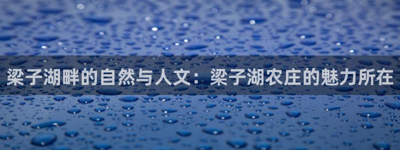 天辰娱乐线路