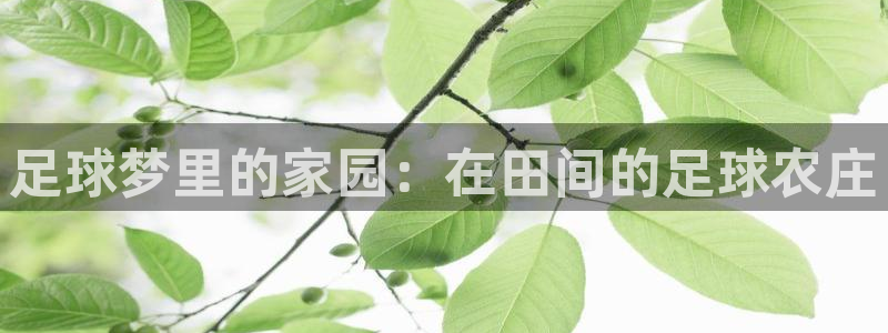 天辰平台娱乐