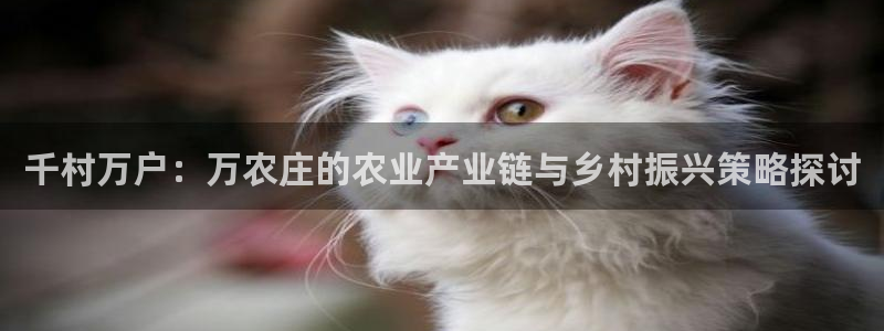 天辰娱乐主管