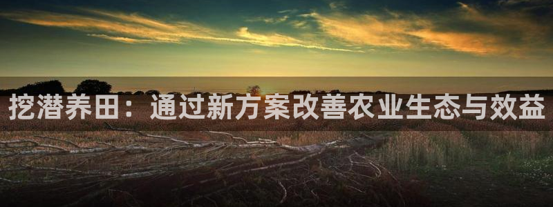 天辰娱乐的网址首页