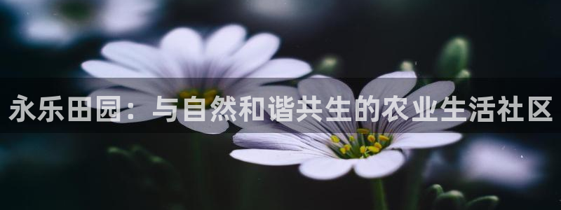 天辰娱乐海洋