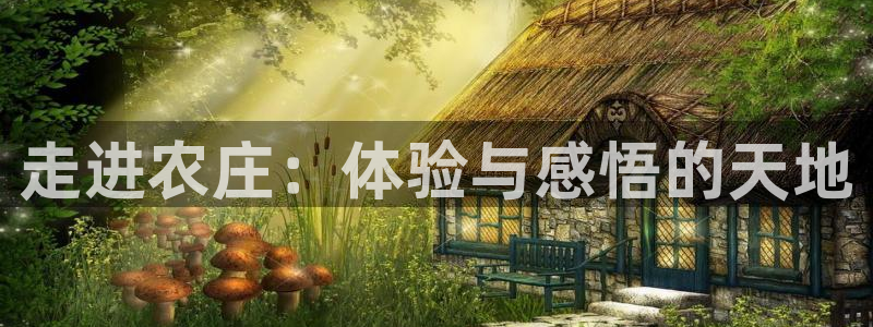 天辰娱乐开户