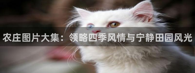 天辰娱乐 天辰平台