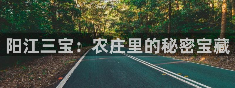 天辰娱乐_675138